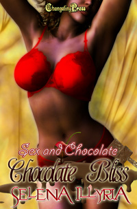 Chocolate Bliss eBook Cover, written by Selena Illyria