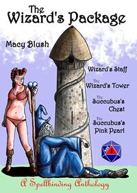 The Wizard's Package eBook Cover, written by Macy Blush