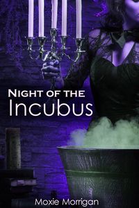 Night of the Incubus eBook Cover, written by Moxie Morrigan