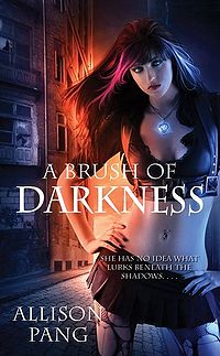 A Brush of Darkness Book Cover, written by Allison Pang