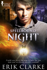 Night Book Cover, written by Erik Clarke