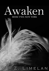 Awaken: New York eBook Cover, written by Z Limelan