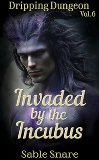 Invaded by the Incubus eBook Cover, written by Sable Snare