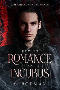 How to Romance an Incubus eBook Cover, written by S. Rodman
