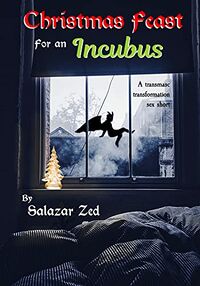 Christmas Feast for an Incubus eBook Cover, written by Salazar Zed