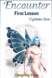 Encounter: First Lesson eBook Cover, written by Cynthia Sax