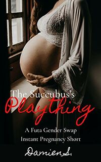 The Succubus's Plaything eBook Cover, written by Damien S.