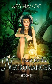 Hunt for the Necromancer - Book 3 eBook Cover, written by Wes Havoc