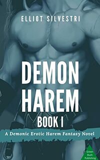 Demon Harem Book I eBook Cover, written by Elliot Silvestri