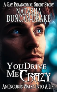 You Drive Me Crazy eBook Cover, written by Natasha Duncan-Drake