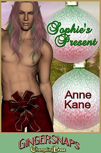 Sophie's Present eBook Cover, written by Anne Kane