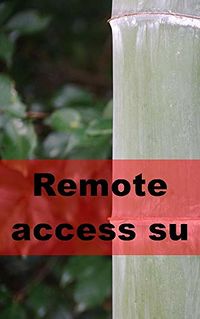 Remote Access Succubus eBook Cover, written by Bertha Grimes