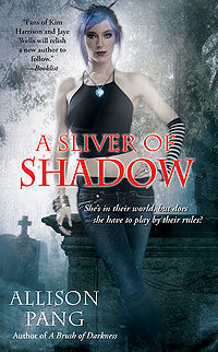 A Sliver of Shadow Book Cover, written by Allison Pang