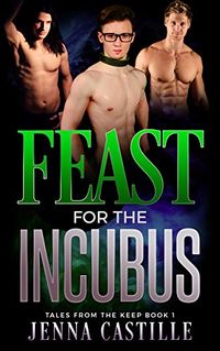 Feast for the Incubus eBook Cover, written by Jenna Castille